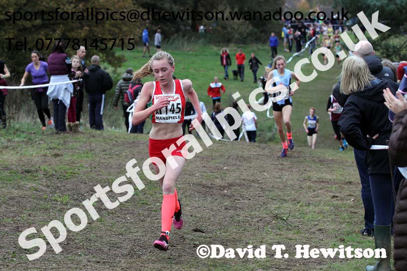 Girls under-15s National Cross Country Relays. Photo: David T. Hewitson/Sports for All Pics